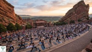 Yoga on the Rocks