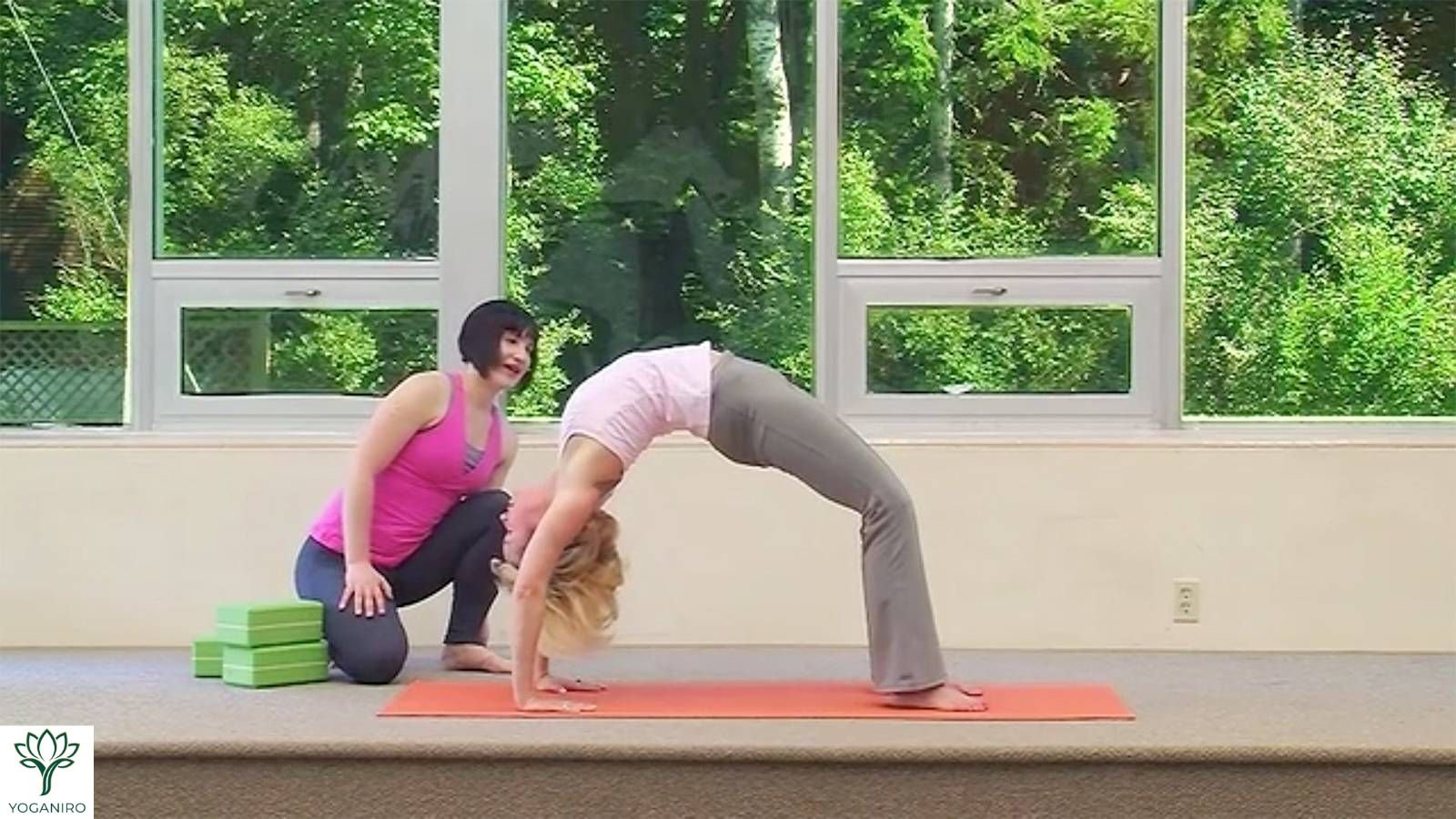 beginner yoga wheel poses for stretching