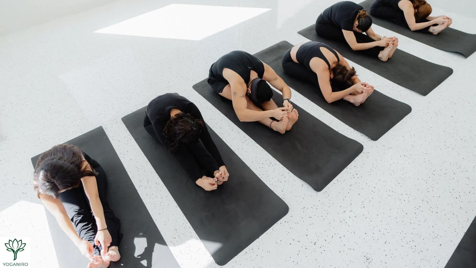 5 Person Yoga Poses